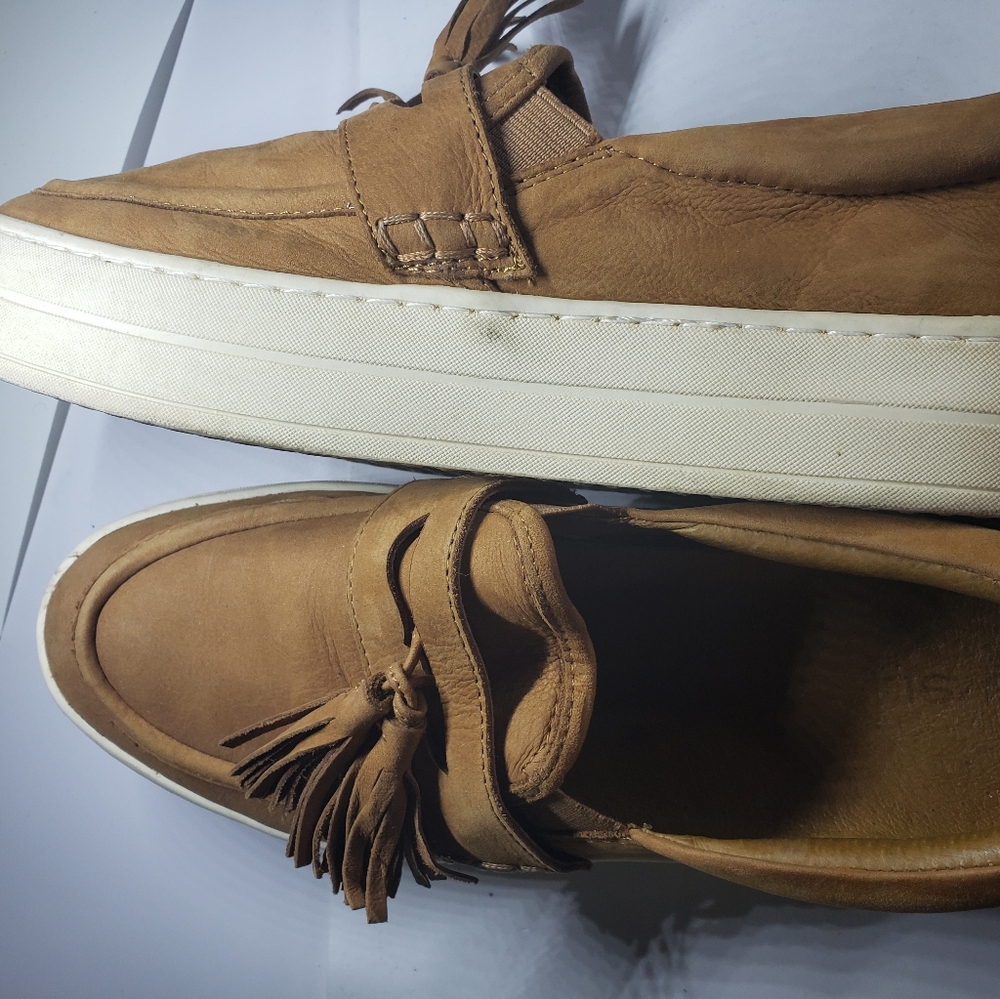 Euc J Slides - image 2